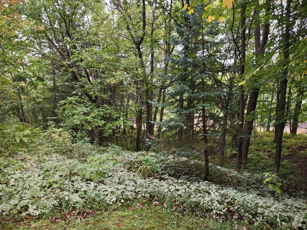 Picture 28