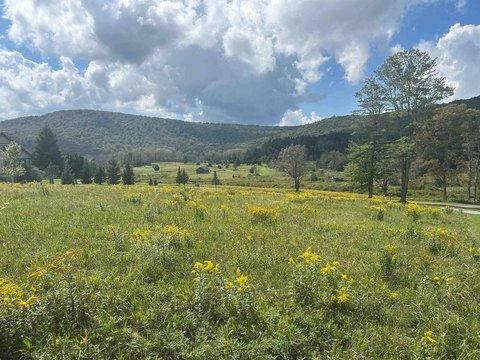 Lots/Land, Davis, WV