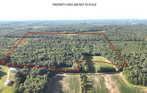 Holladay Hunting Land For Sale