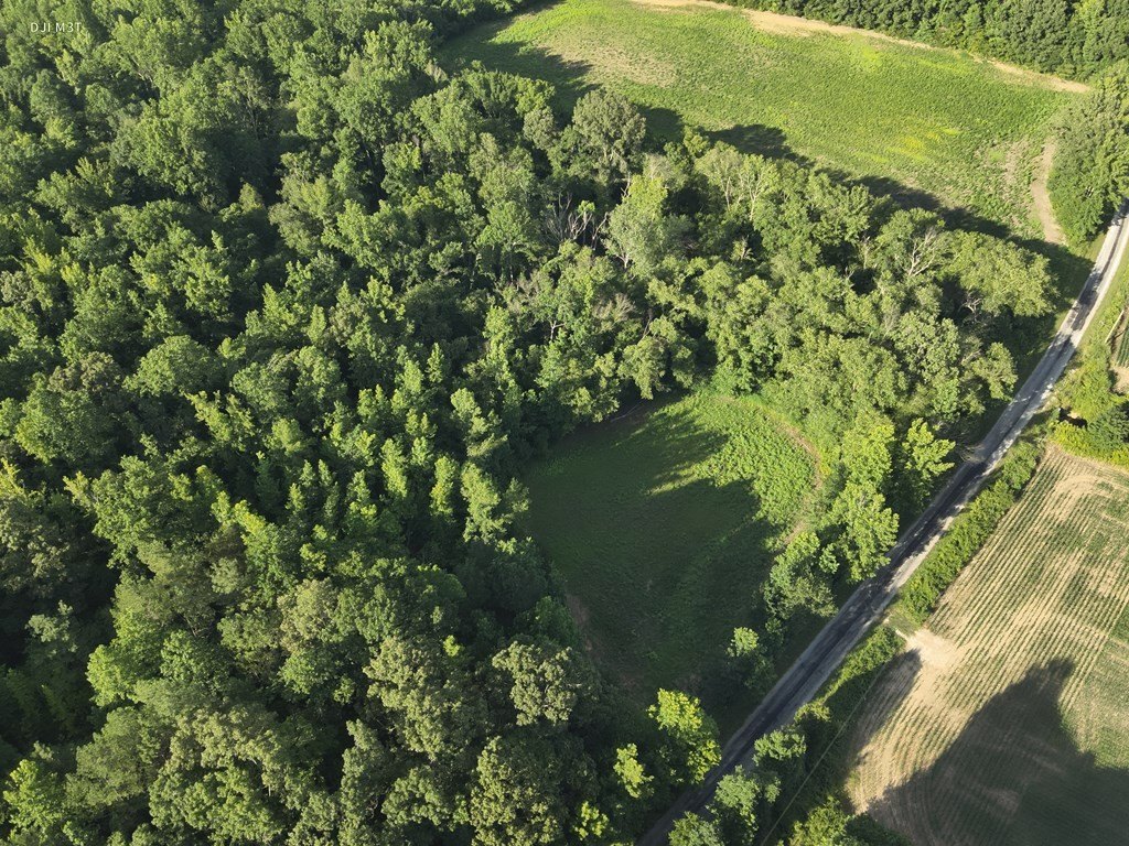 Picture 2