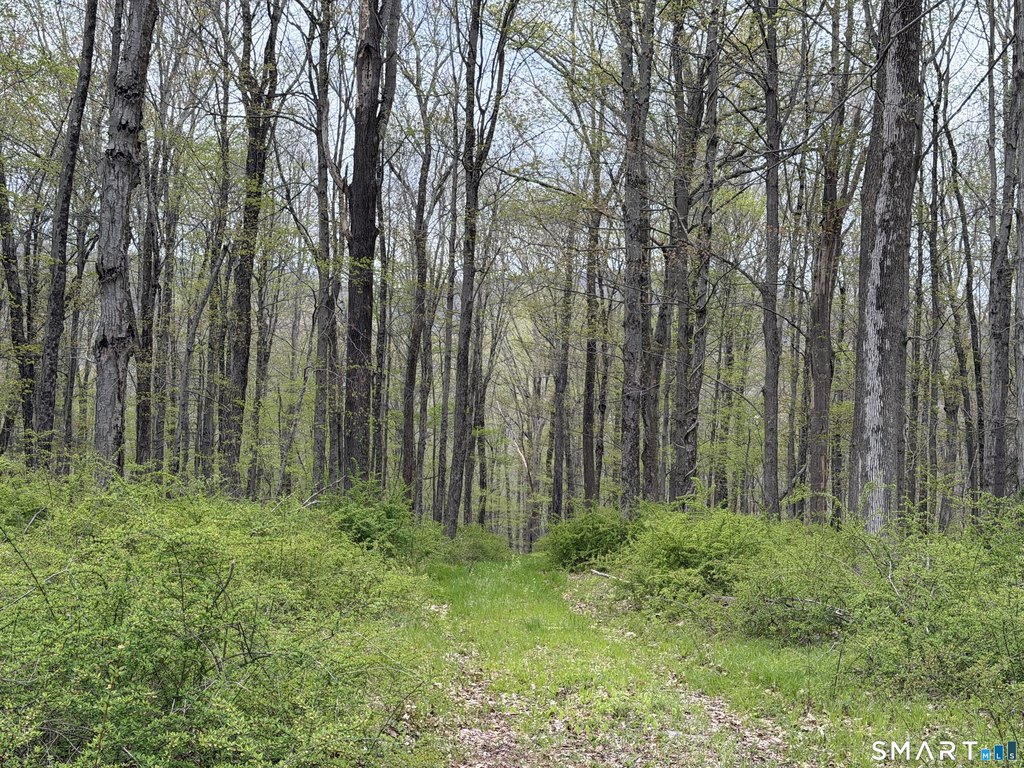 Picture 14