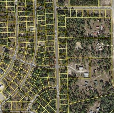 Land, Ocklawaha, FL