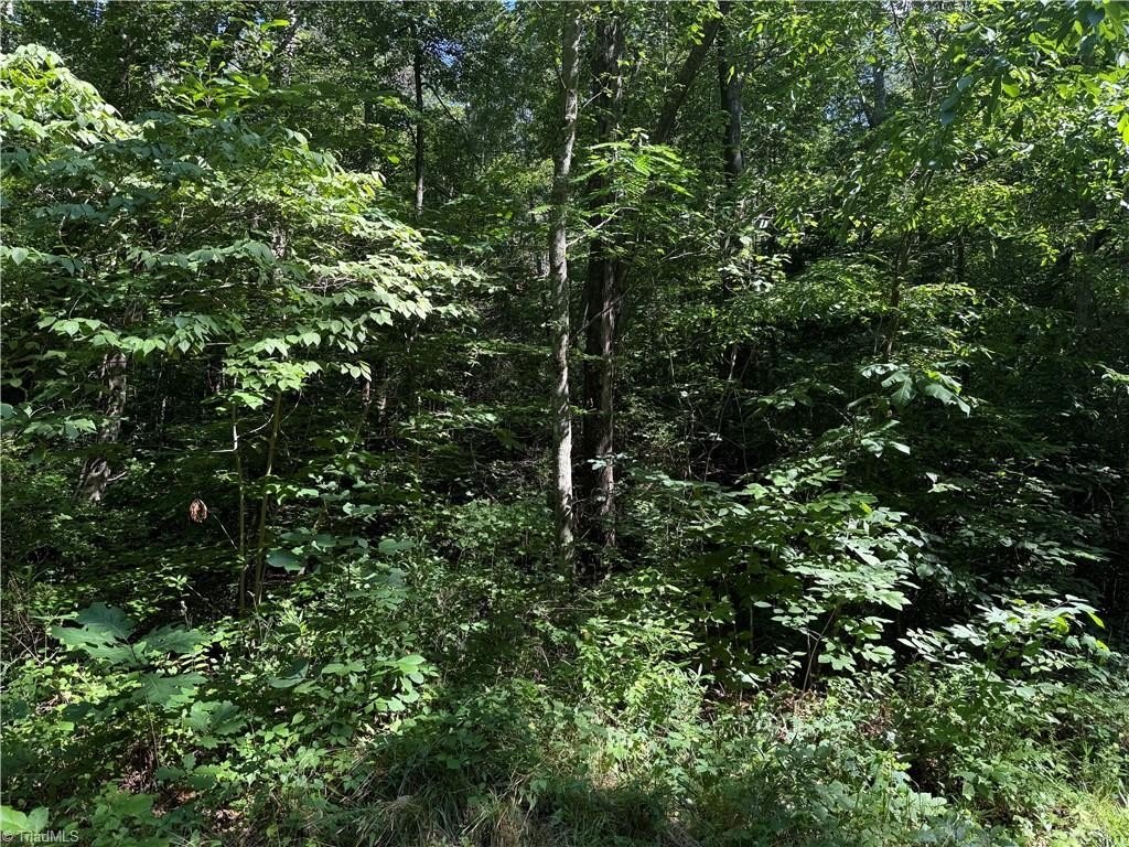 Picture 7