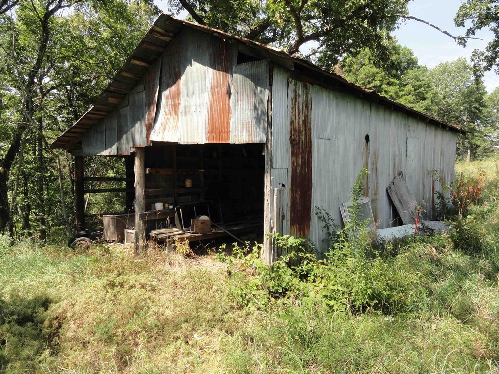 Picture 21