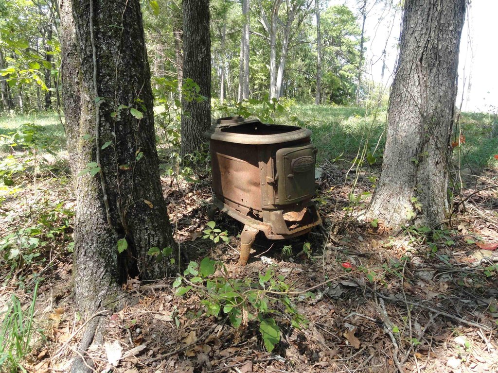 Picture 14