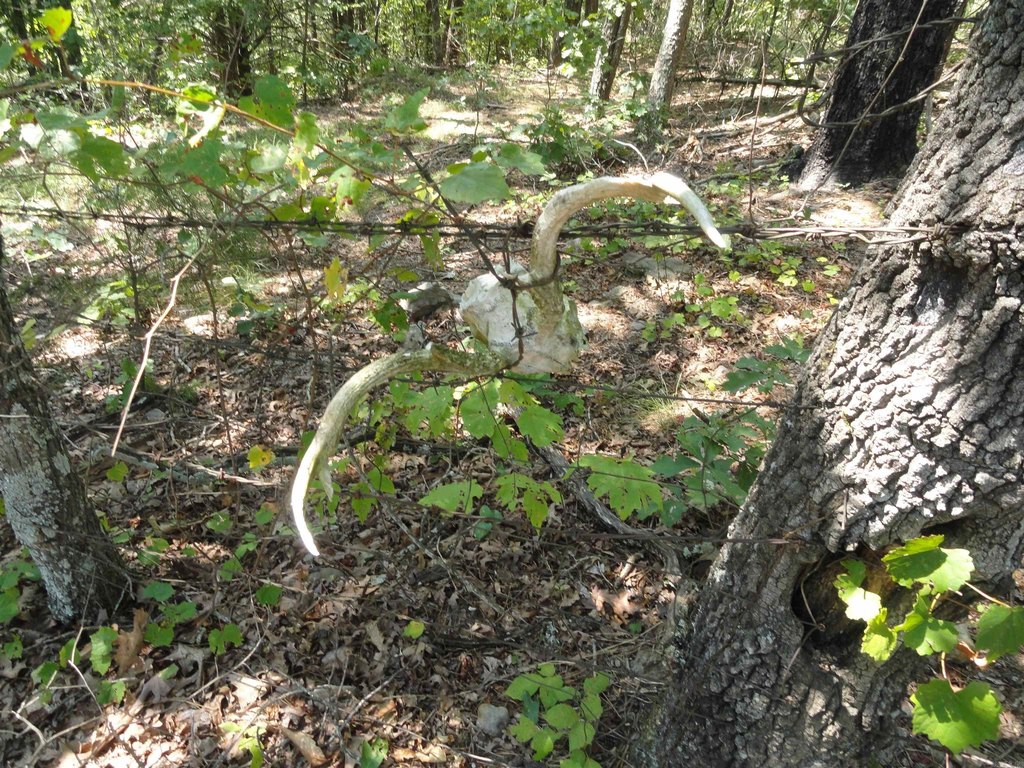 Picture 16