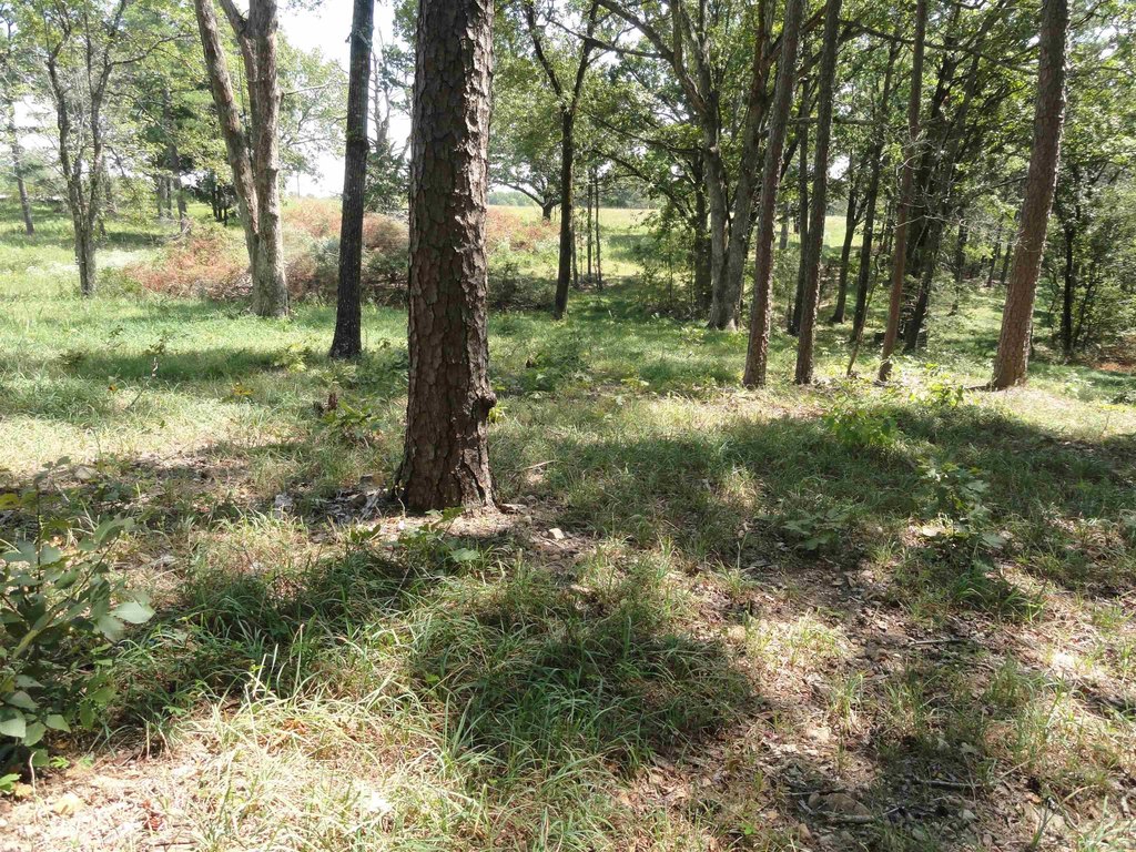 Picture 18