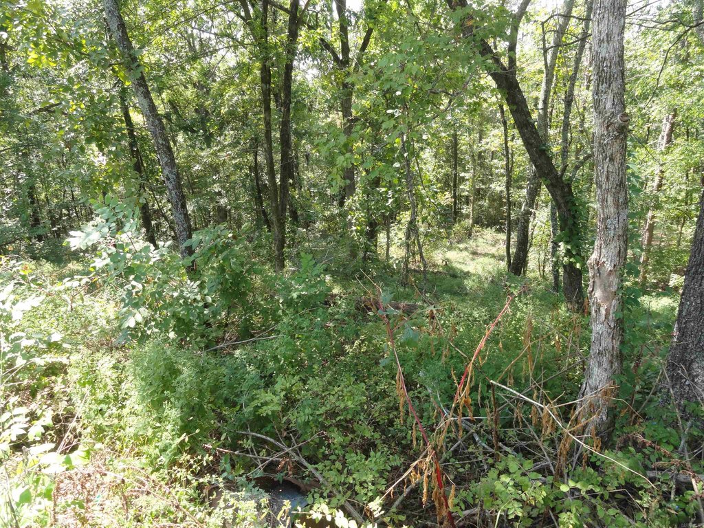 Picture 26