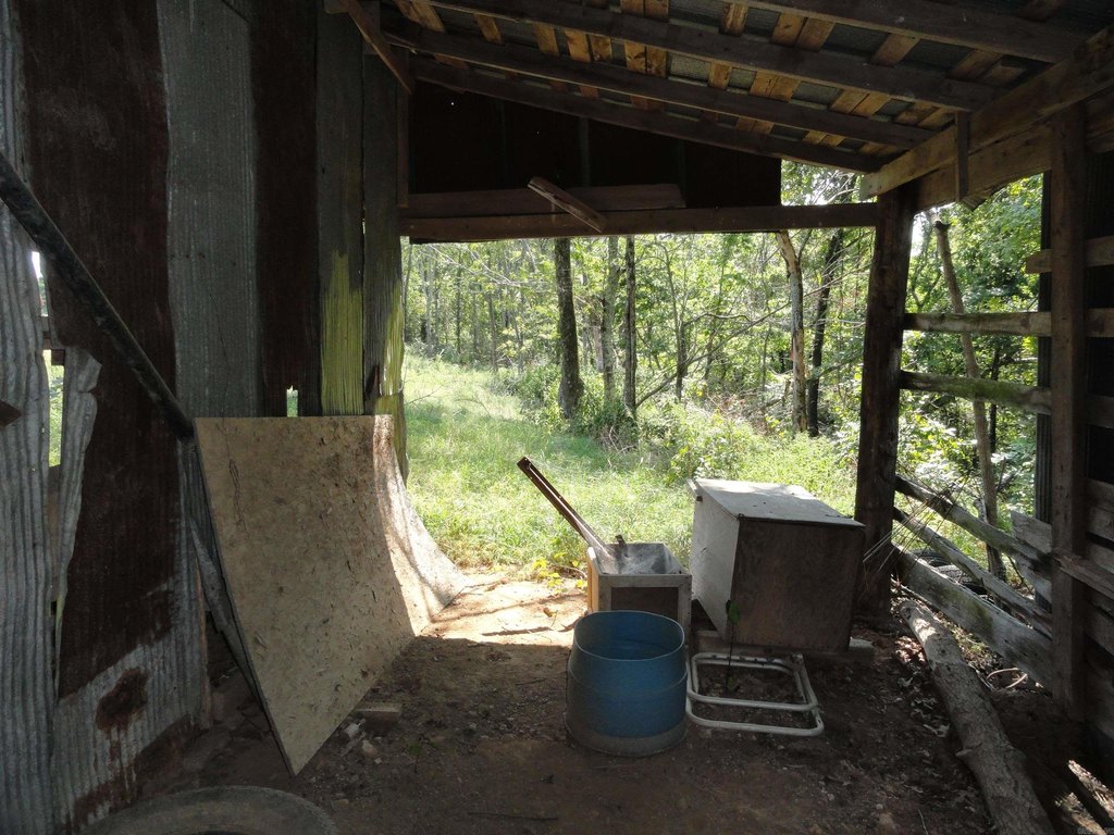 Picture 25