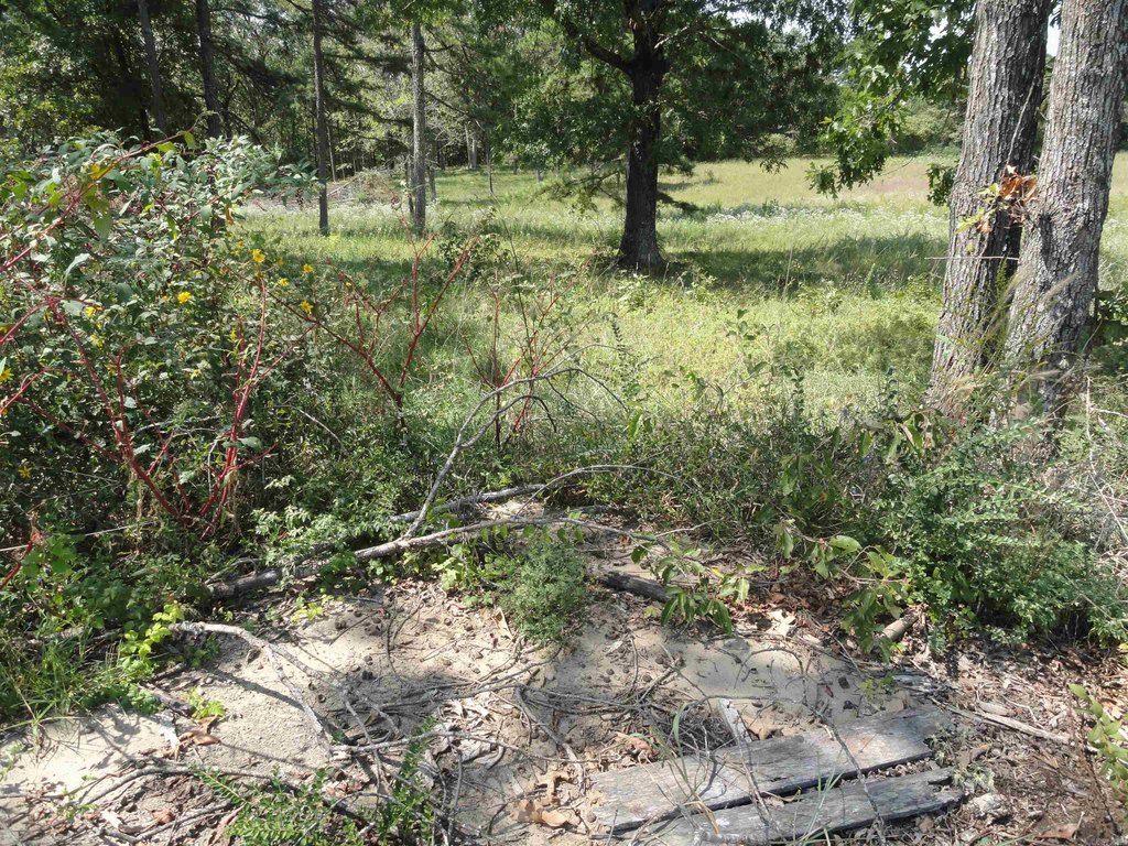Picture 6