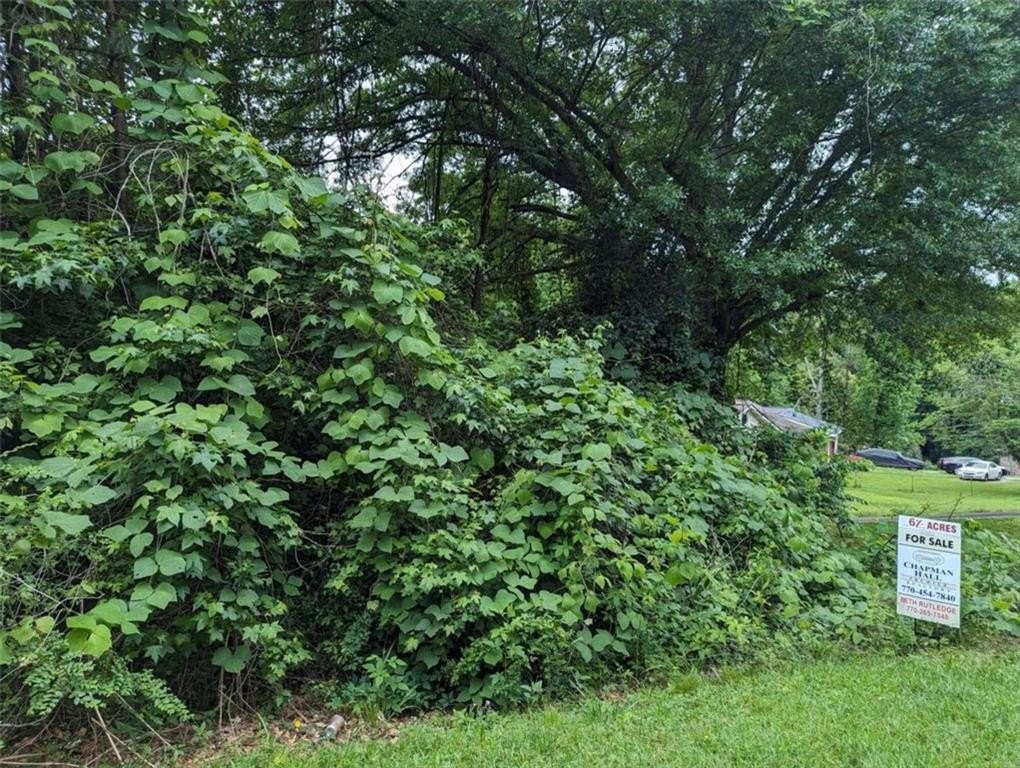 Wooded Acreage in Established Neighborhood