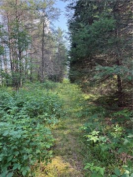 Hayward Land Near Recreational Trails