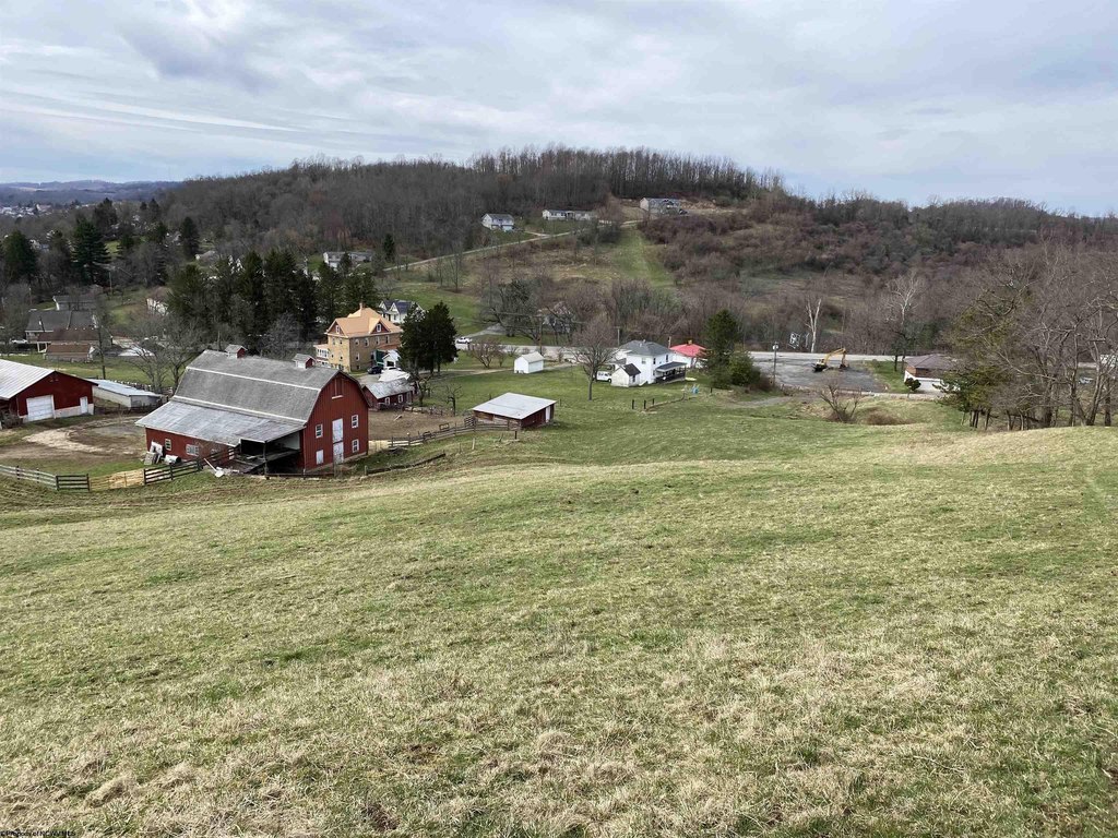 Picture 15