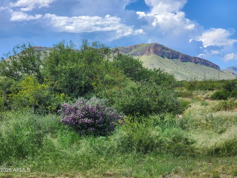 Land, Huachuca City, AZ