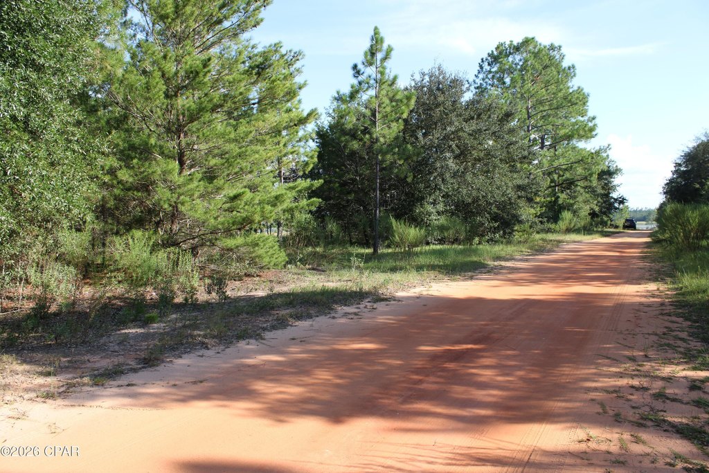 Picture 19
