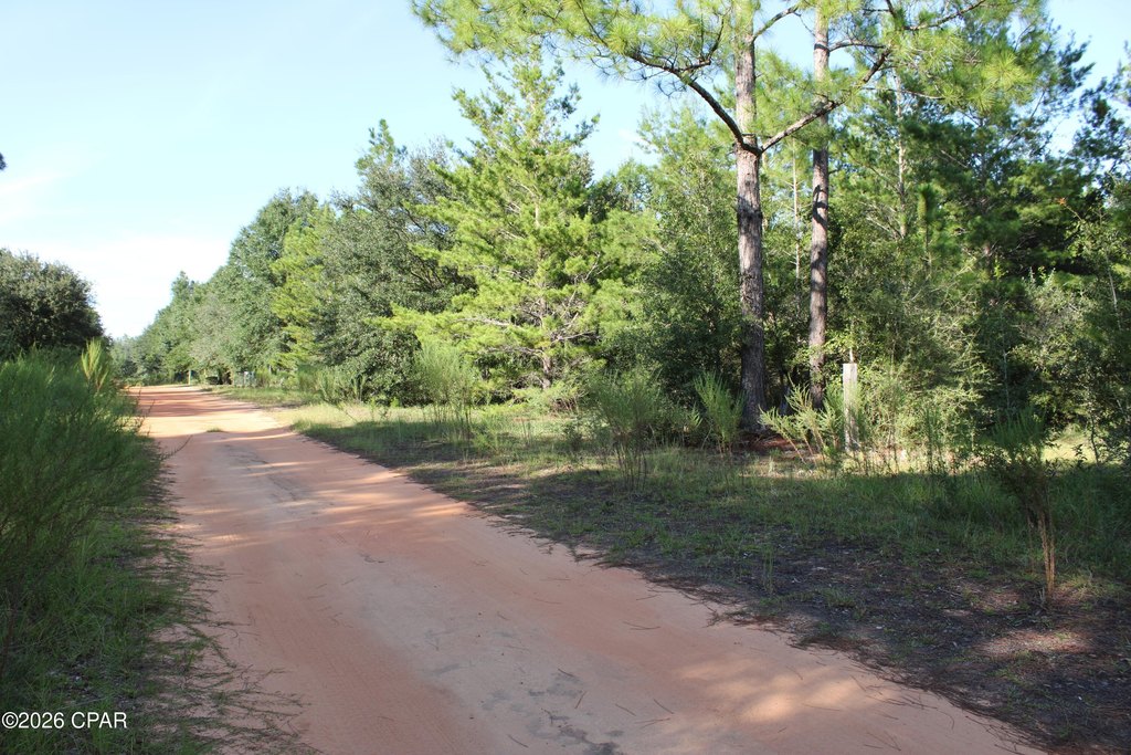 Picture 30