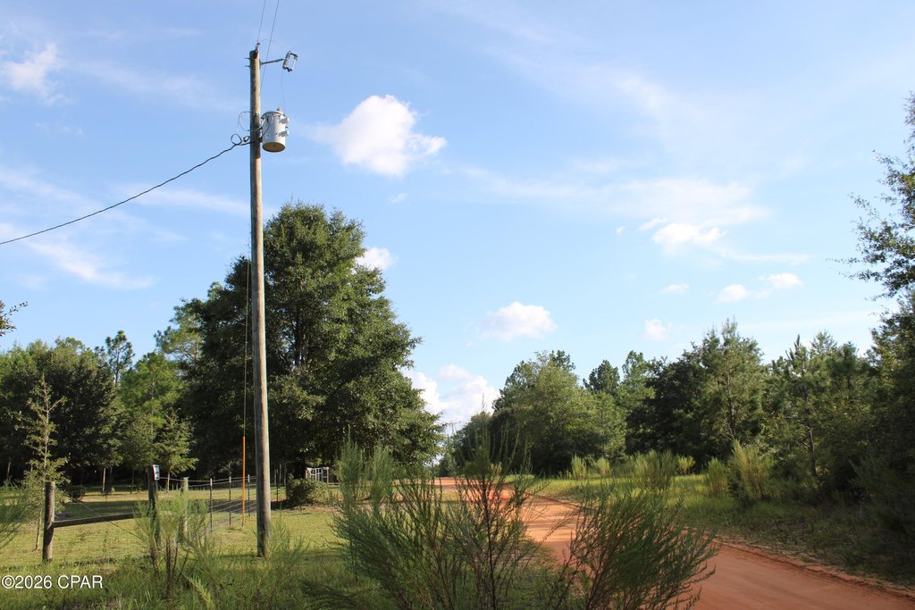 Picture 18