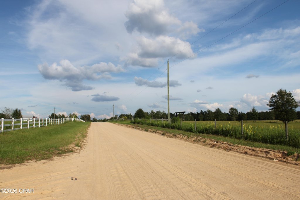 Picture 31