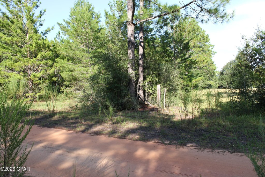 Picture 8