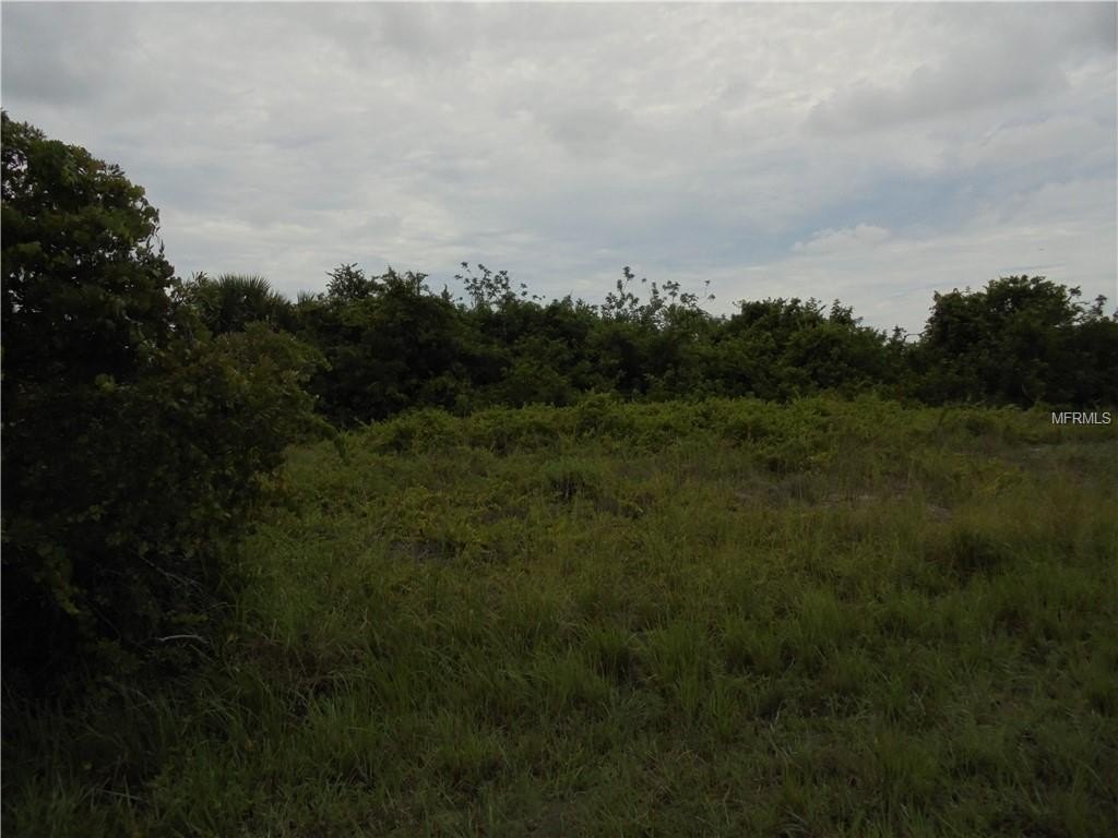 Picture 2