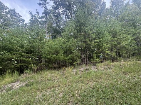 Vacant Lot, Ranger, GA