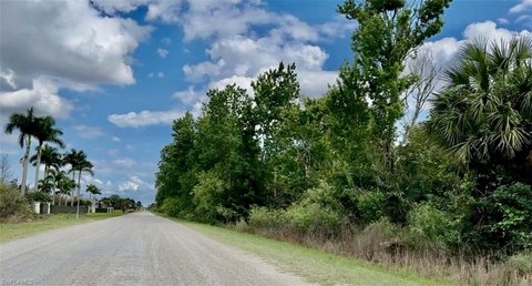 LAND - NAPLES, FL