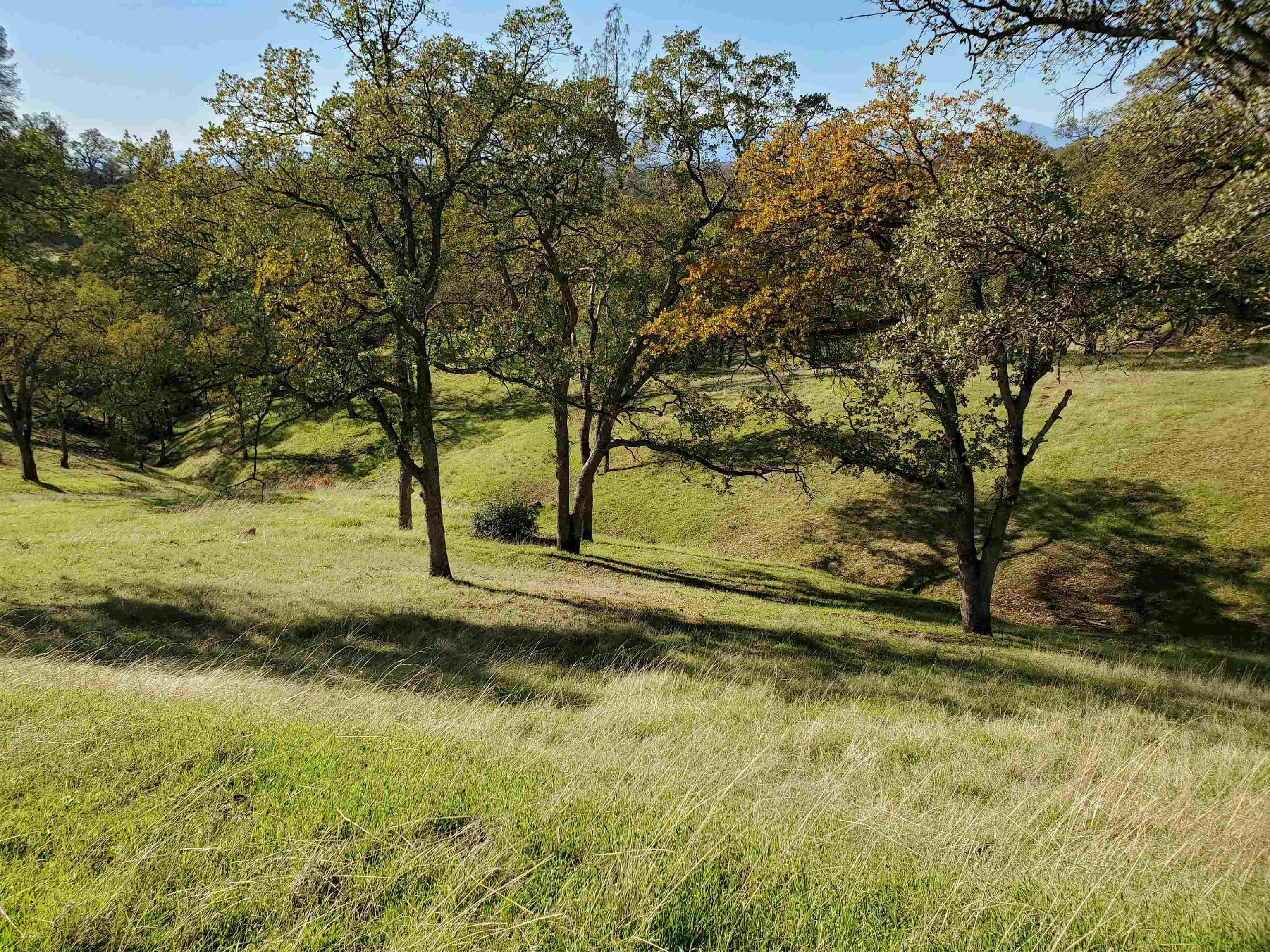 Red Bluff Land with Views