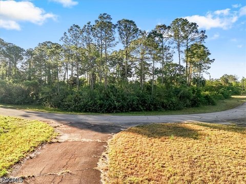 LAND - Labelle, FL