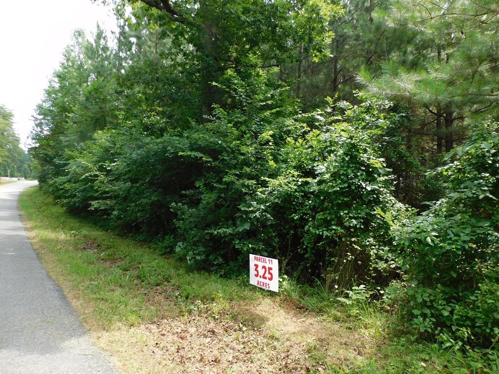 Picture 8