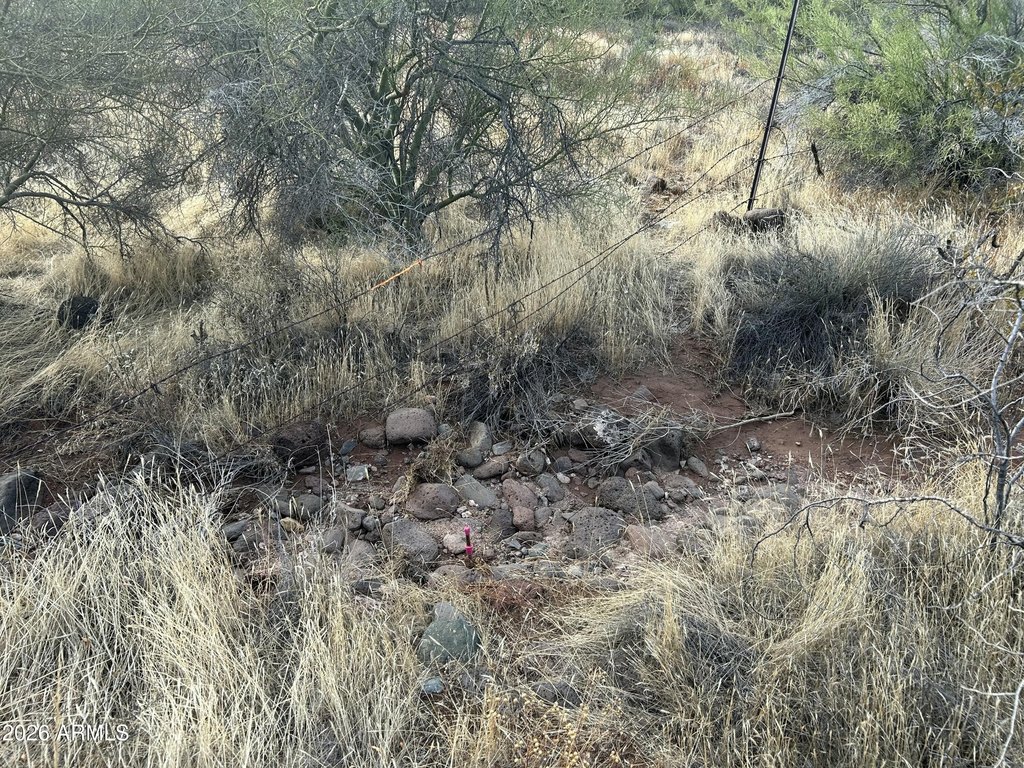 Picture 10