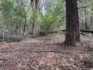 Wooded Lot with Mountain Views
