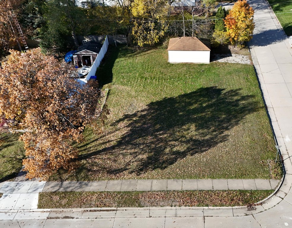 Picture 3