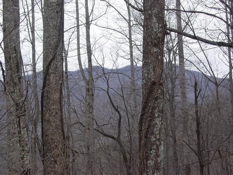 Hiawassee, GA Vacant Lot