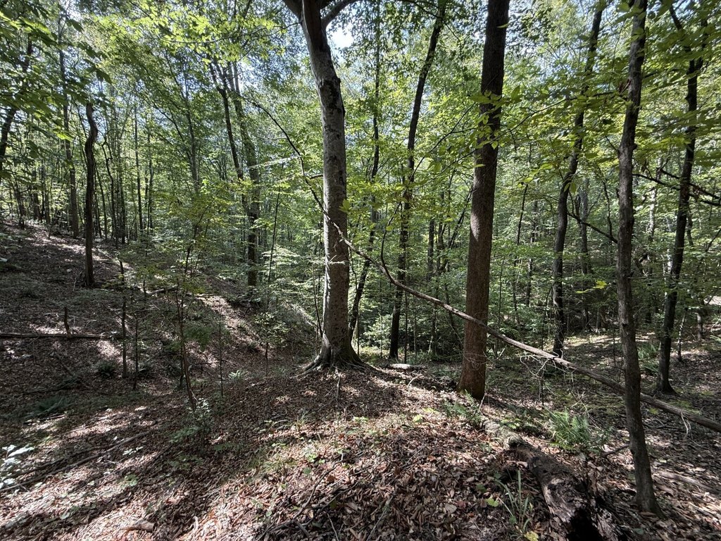 Picture 30