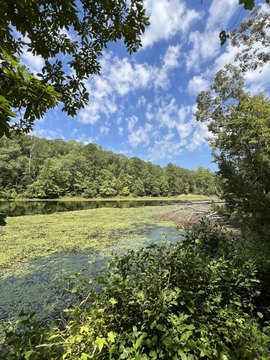 Lakefront Recreational Land