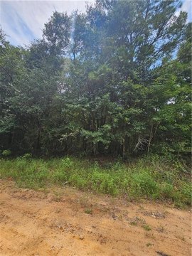 LAND - Eight Mile, AL