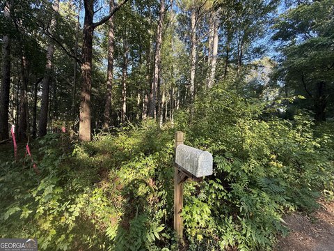 Land, Silver Creek, GA