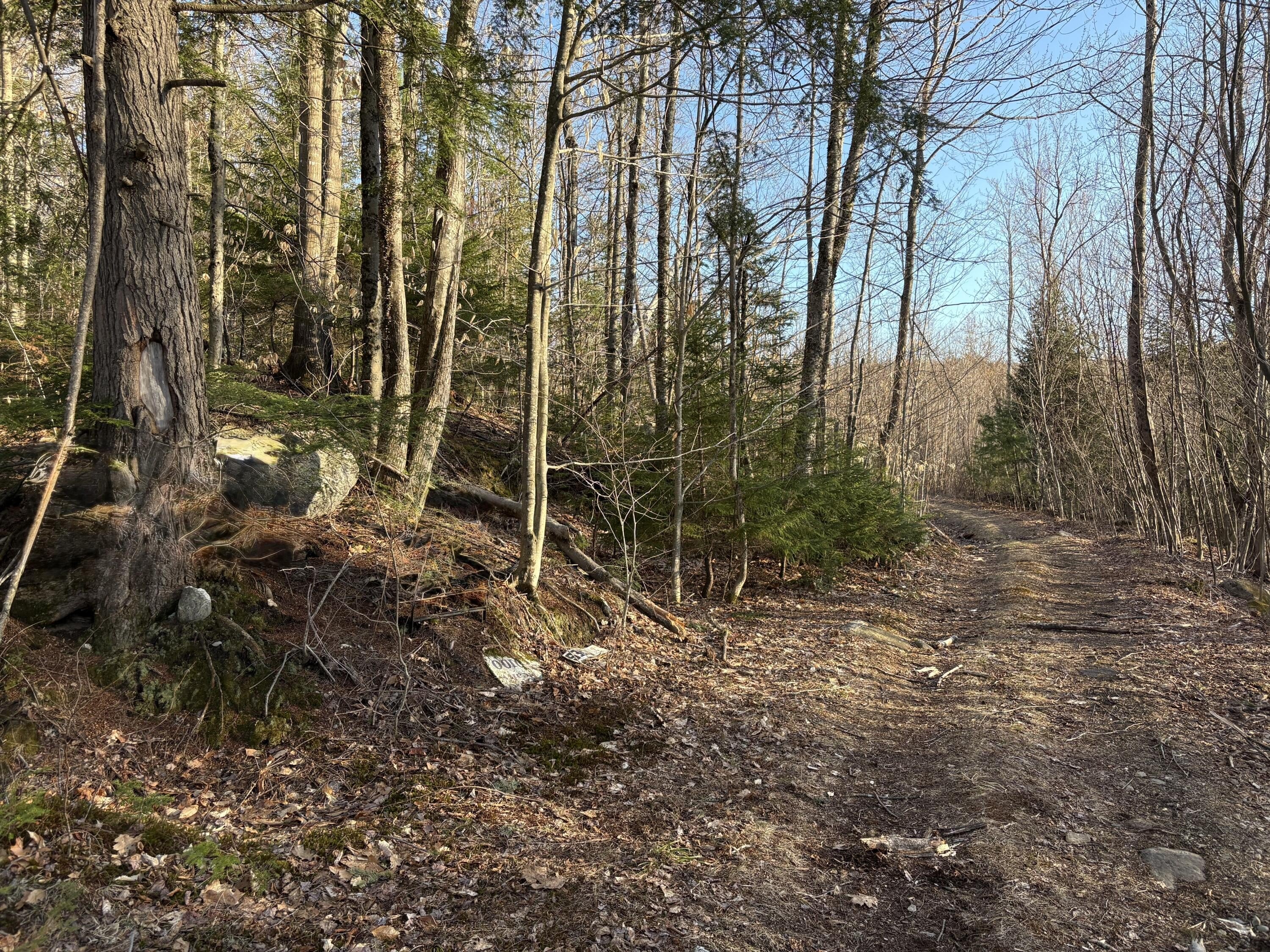 Rumford, ME - Wooded Acres