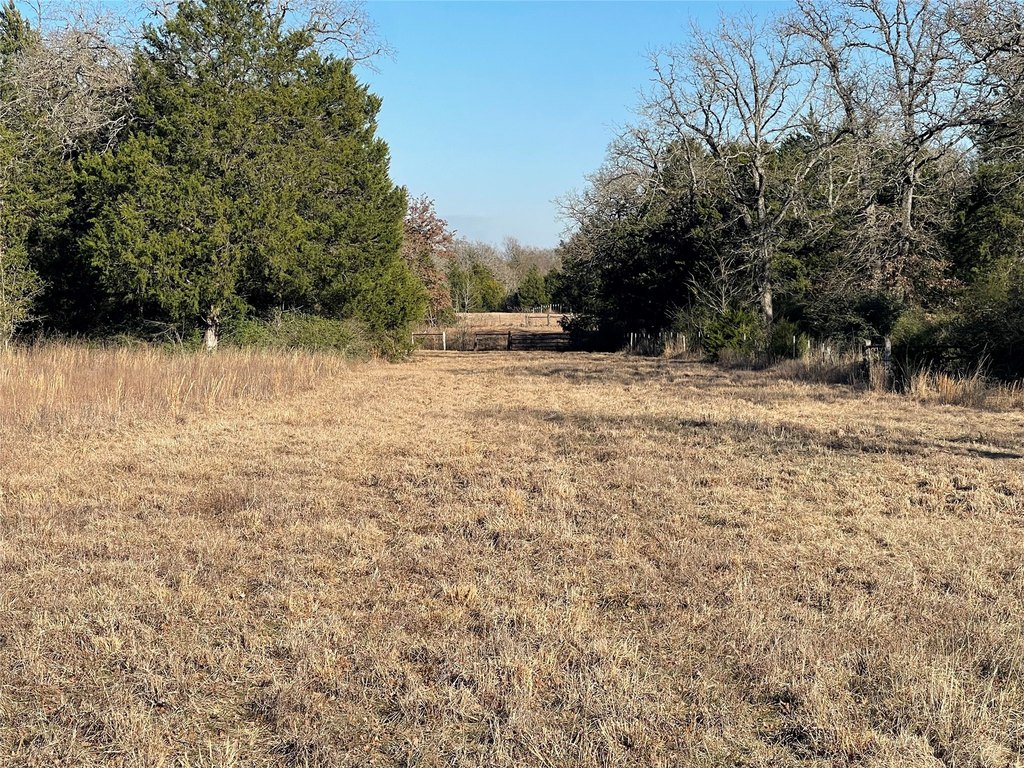 Picture 15