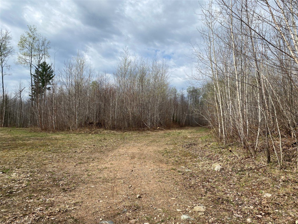 Picture 5