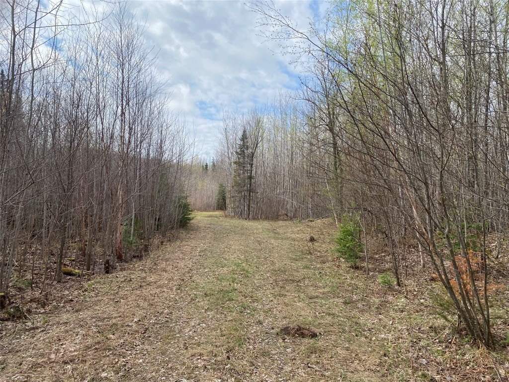 120 Acres in Price County