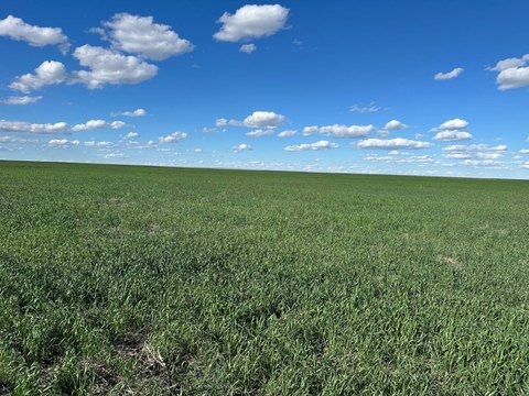 Dryland Farm and Hunting Land