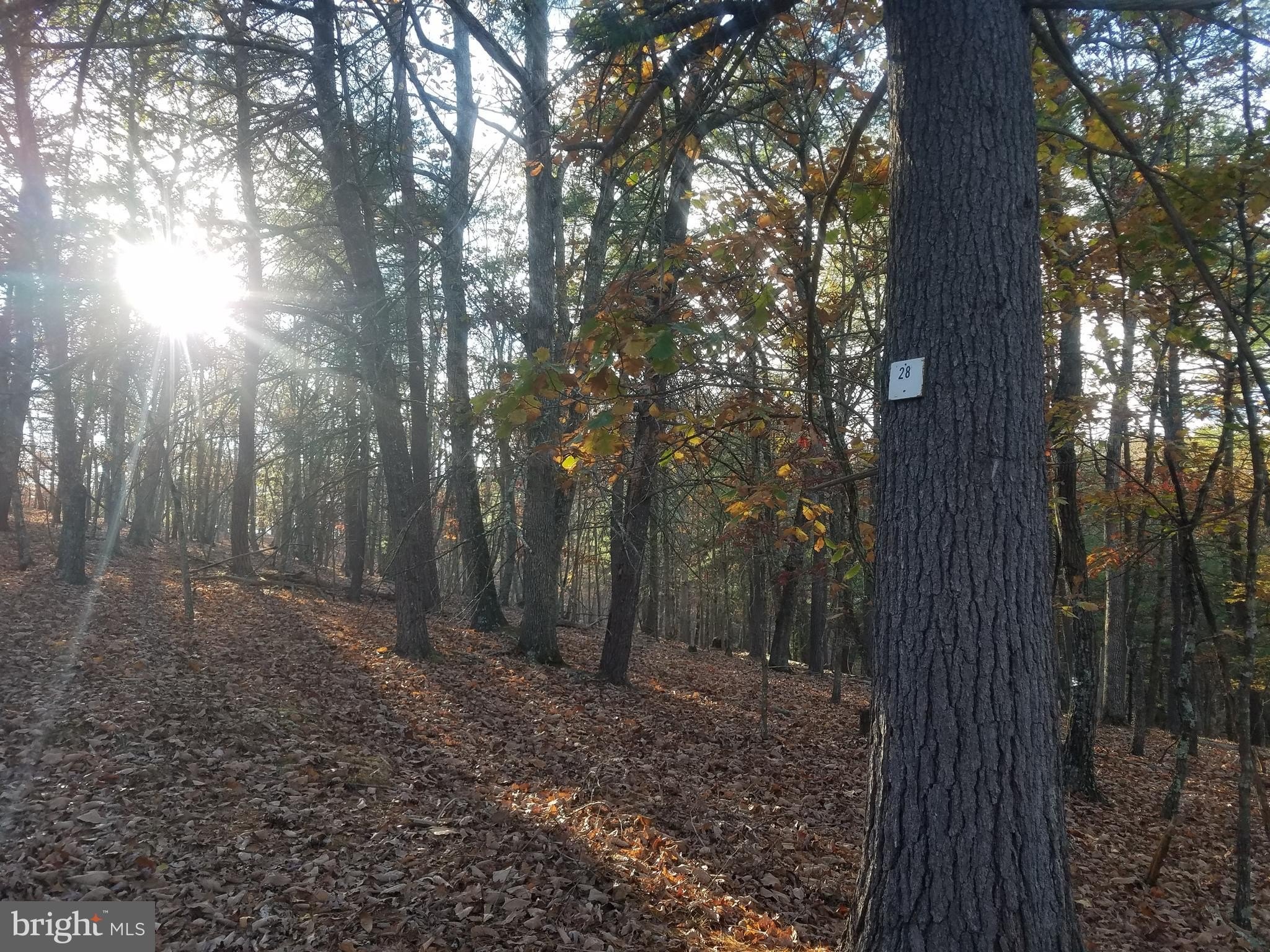 Land in Crystal Valley Estates