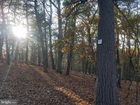 Land in Crystal Valley Estates