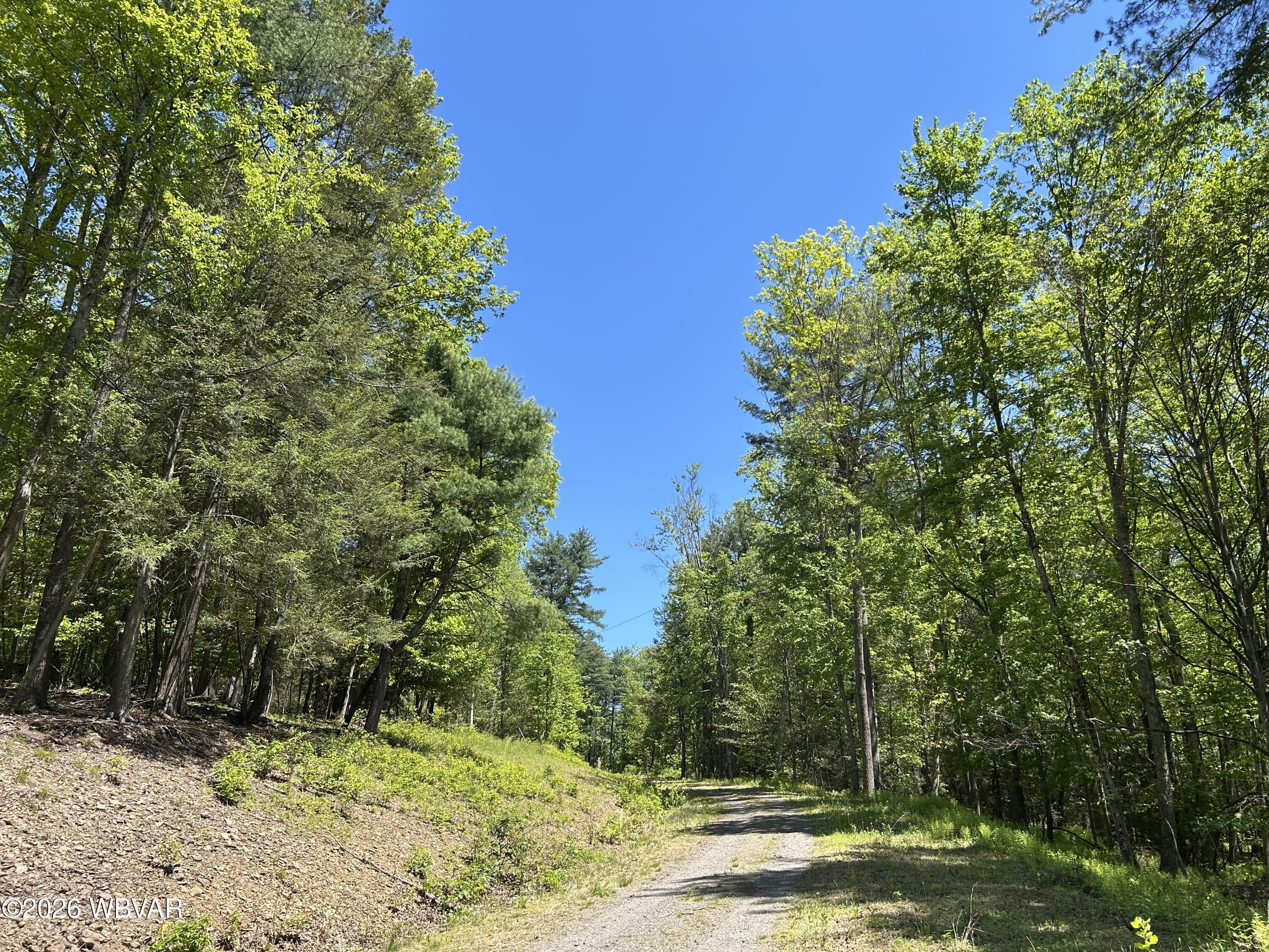 26.87 Acres in Montoursville, PA