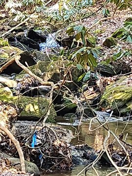 Waterfront Land with Creek Access