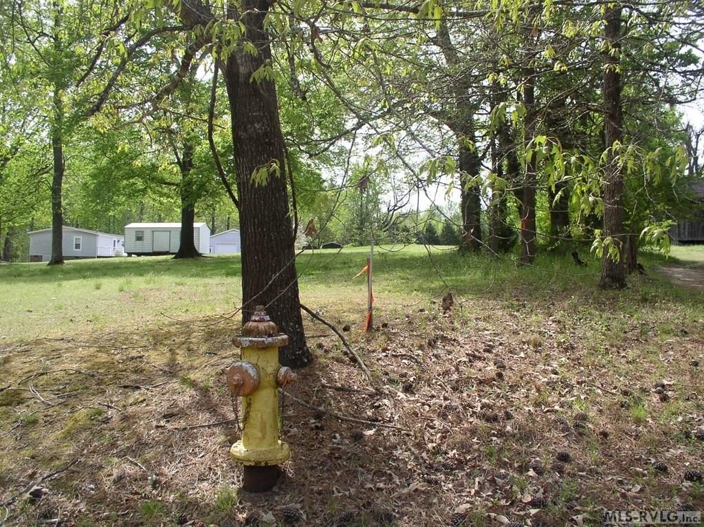 Picture 10