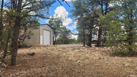Land, Quemado, NM