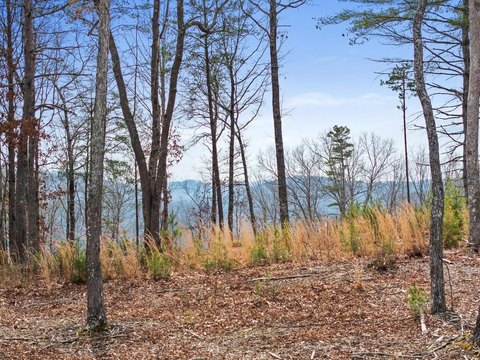 LAND - Morganton, GA