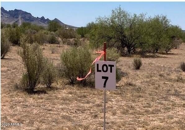 Tonopah Land with Mountain Views